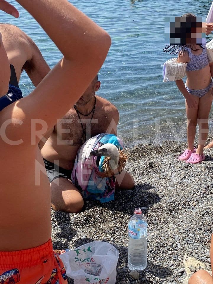 gypas paralia 1 censored 1