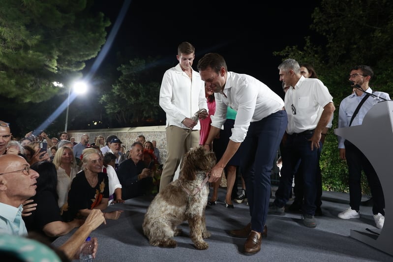 Στεφανος Κασσελακης, ΣΥΡΙΖΑ