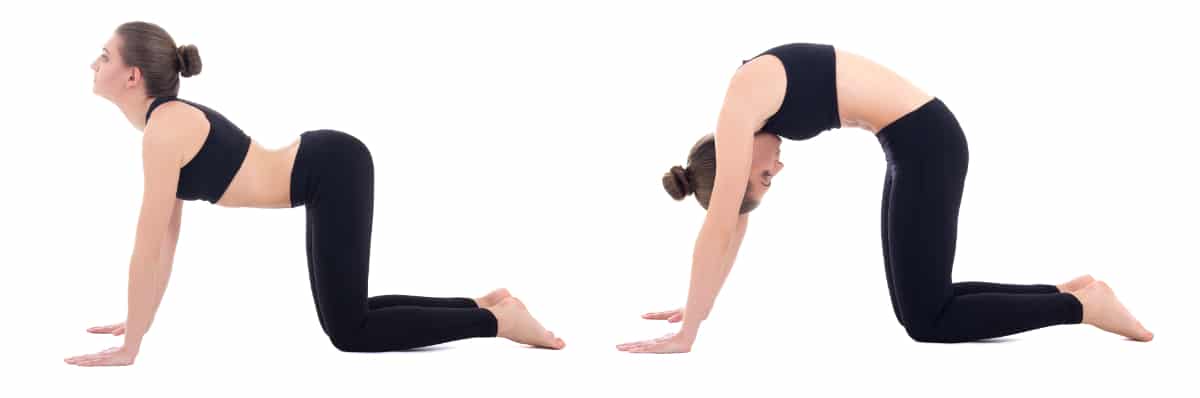 220609171018 yoga woman cat cow