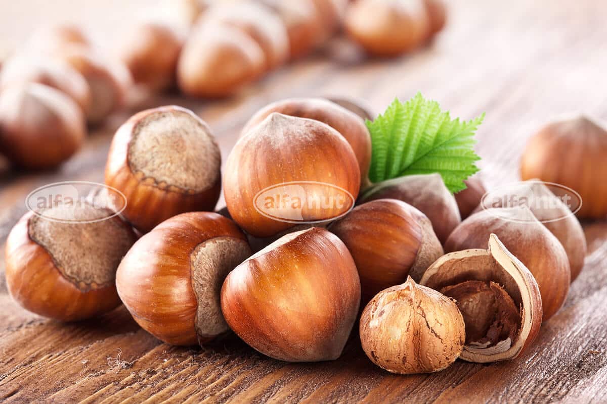 pr hazelnuts