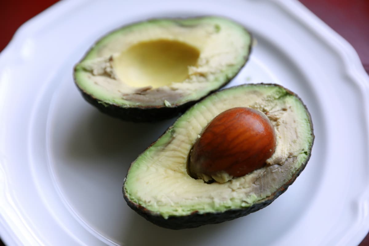 avocado small