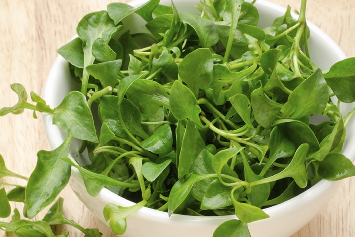 watercress