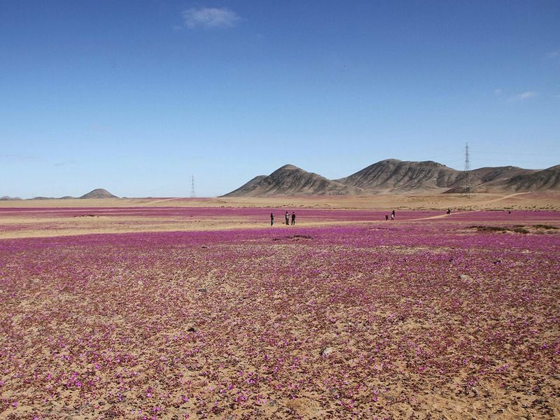 atacama desert gallery 190a5d2c27f original ratio