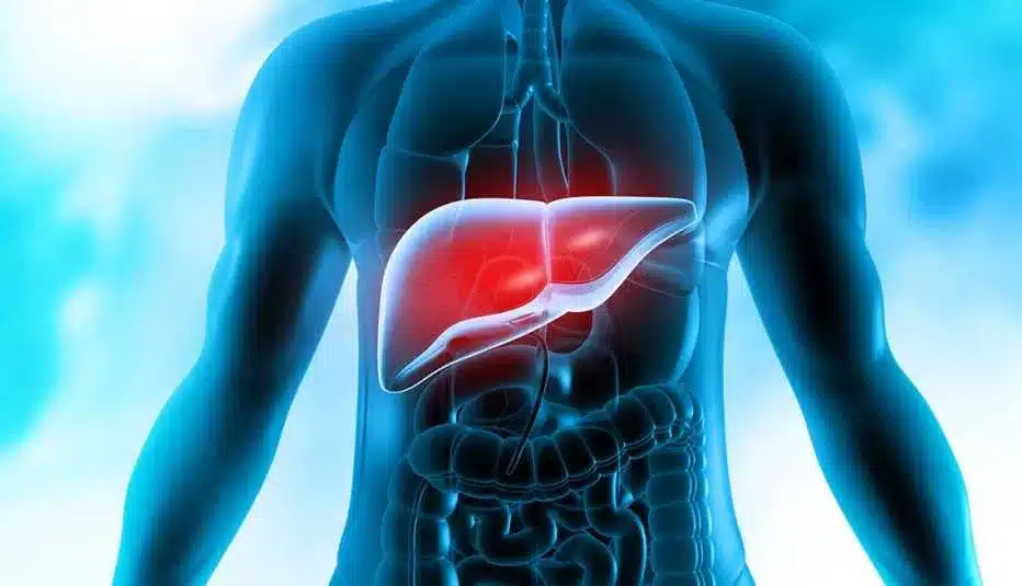 1140 signs of liver disease